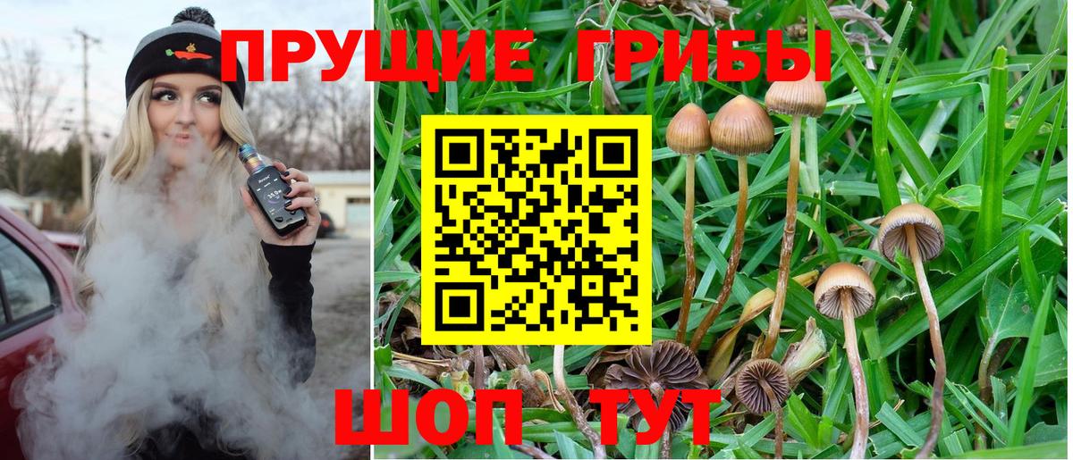 Псилоцибиновые грибы Magic Shrooms  Вход с VPN  сколько стоит  Гагарин 